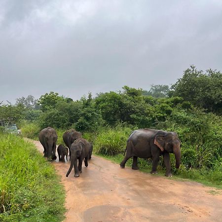 Thilina Homestay Sigiriya Bagian luar foto