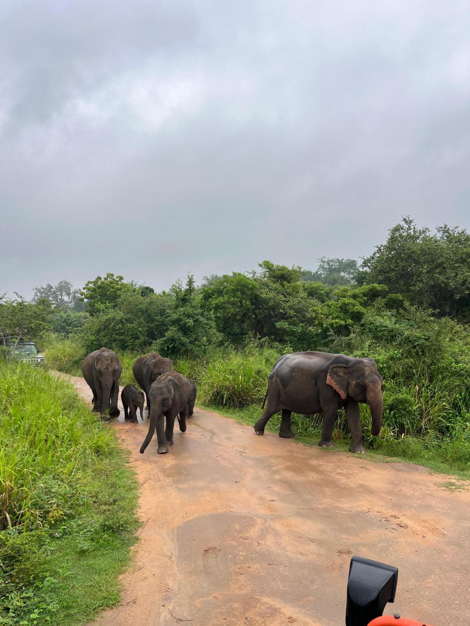 Thilina Homestay Sigiriya Bagian luar foto