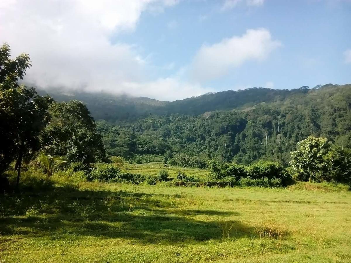 Thilina Homestay Sigiriya Bagian luar foto