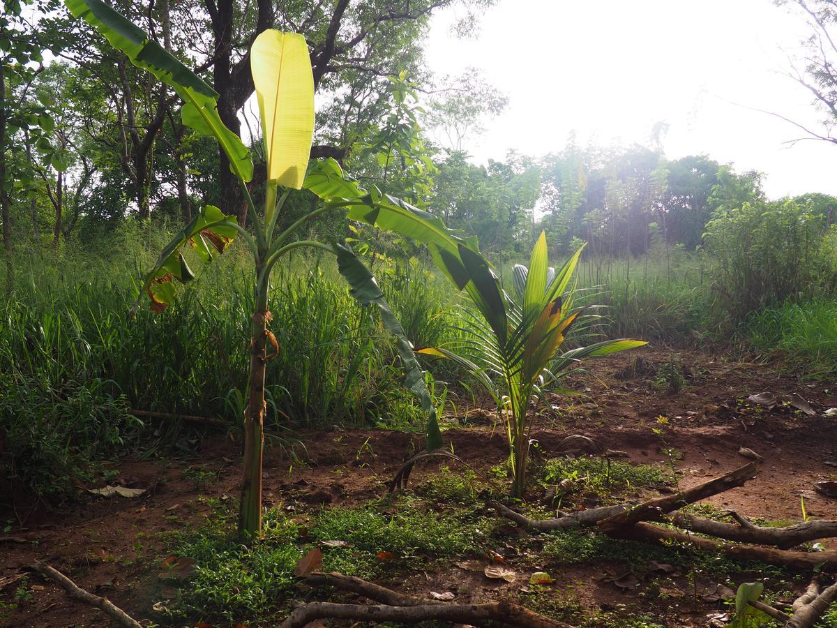 Thilina Homestay Sigiriya Bagian luar foto